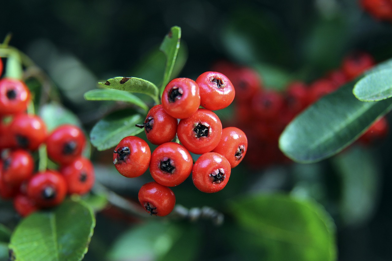 杜兰特的受 杜兰特的受