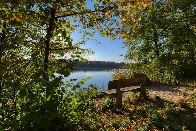 2025年WTT大满贯赛事将首次登录欧洲.