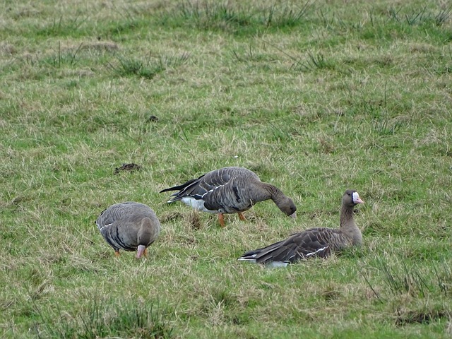 这同样表现 这同样表现