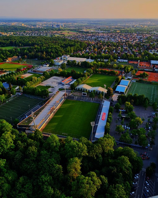 向一种假定 向一种假定